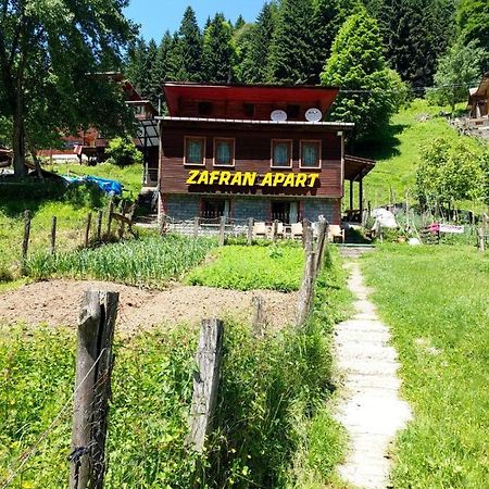 Villa Zafran Ayder Yaylası Eksteriør bilde