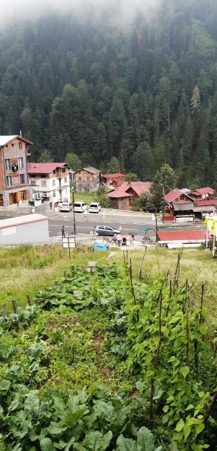 Villa Zafran Ayder Yaylası Eksteriør bilde