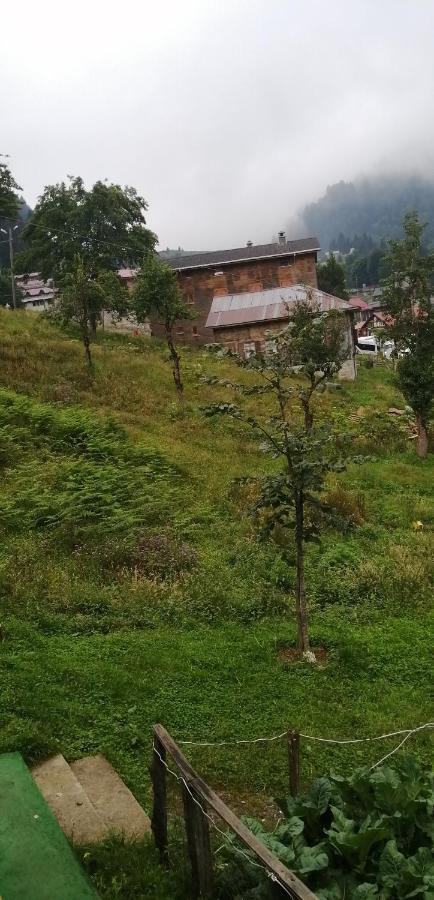 Villa Zafran Ayder Yaylası Eksteriør bilde