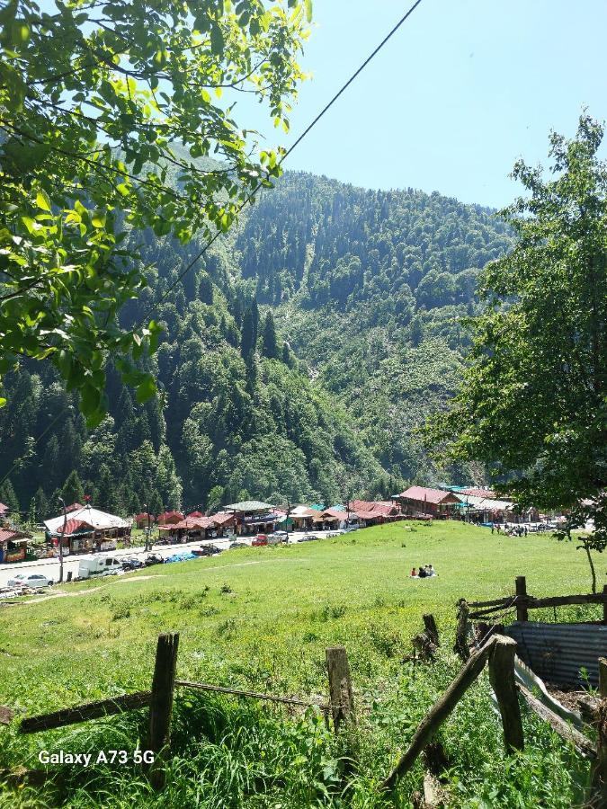 Villa Zafran Ayder Yaylası Eksteriør bilde