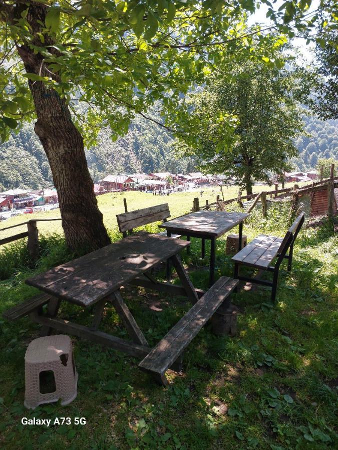 Villa Zafran Ayder Yaylası Eksteriør bilde